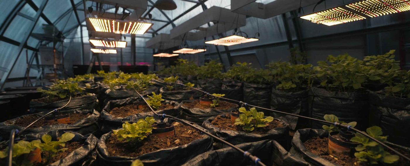 Gardening & Farm