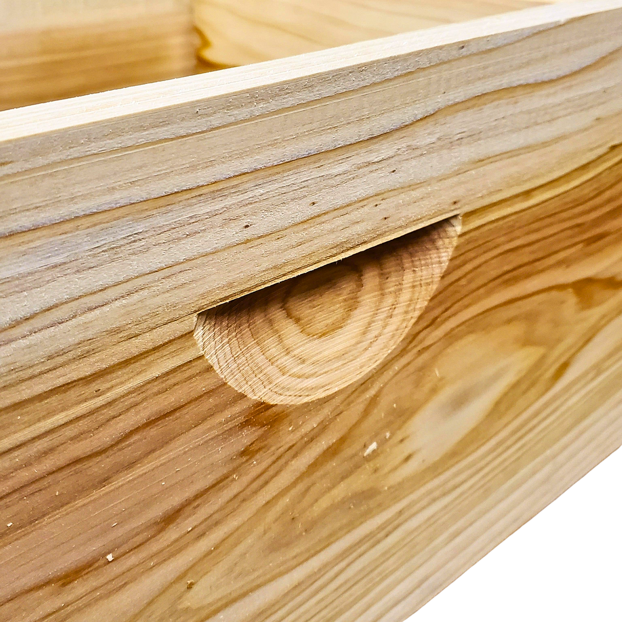 10-Frame All-Medium Box Hive Kit