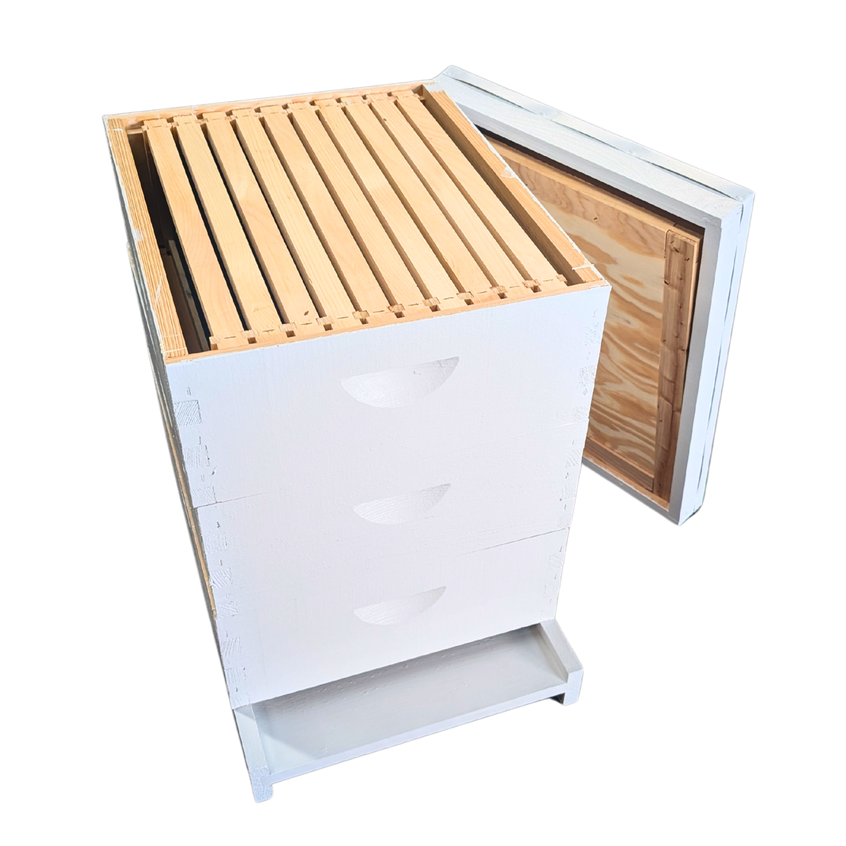 10-Frame All-Medium Box Hive Kit