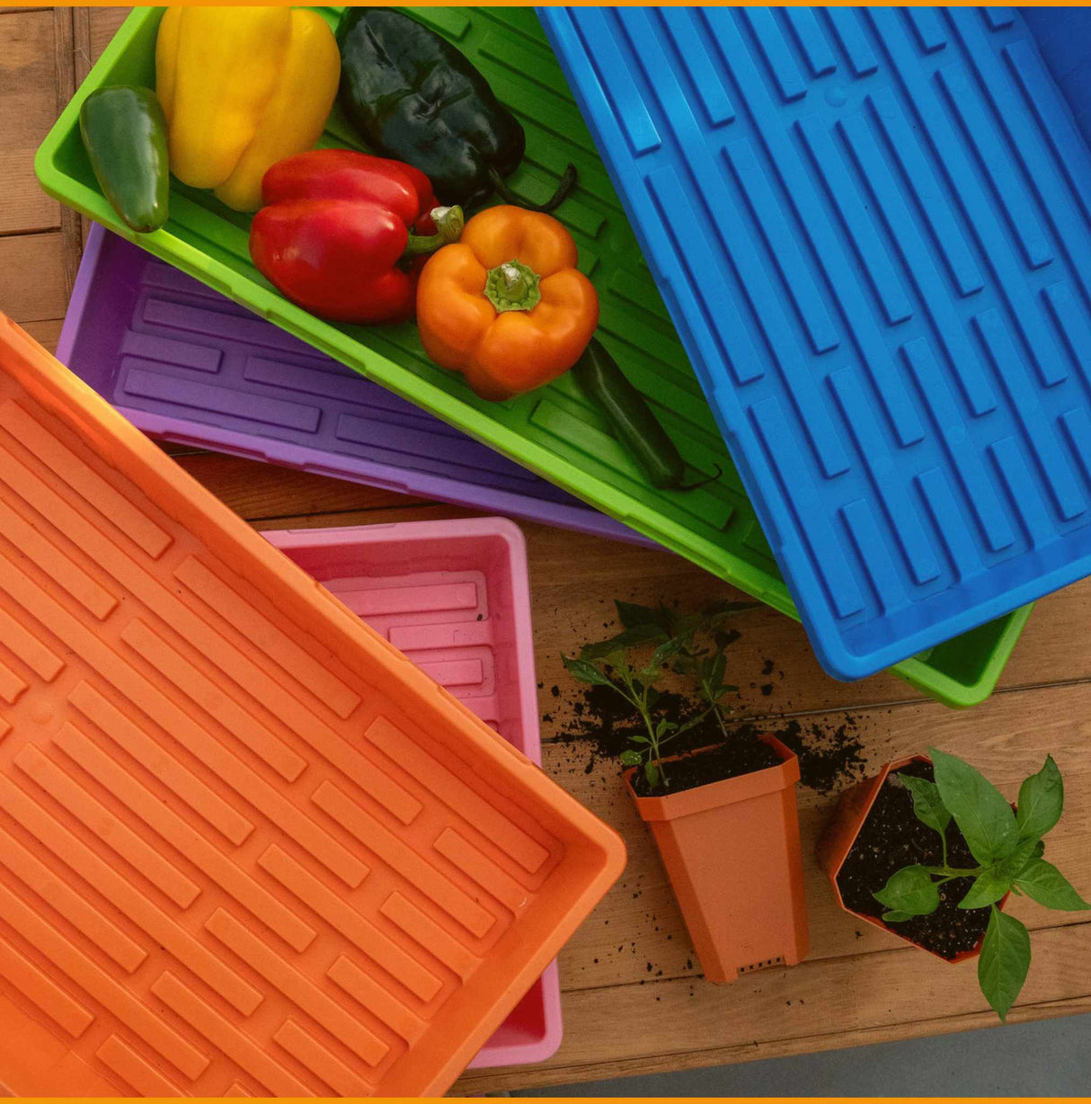 1020 Seed Starting Trays - Colored