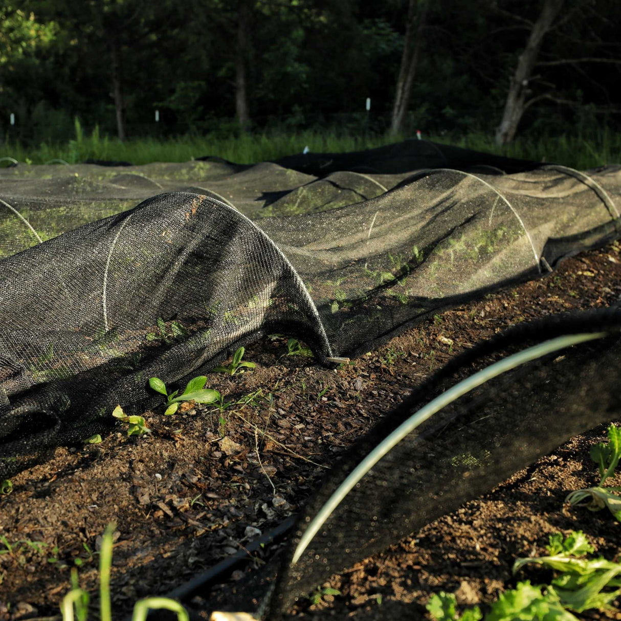 Greenhouse Shade Cloth - 50% Black