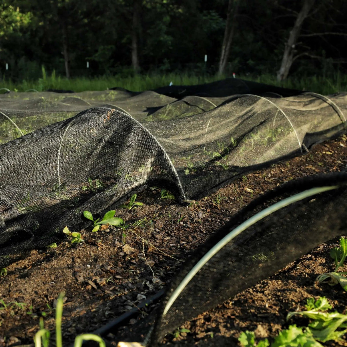 Greenhouse Shade Cloth - 30% Black