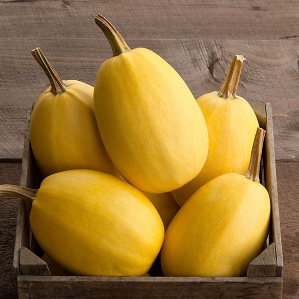 Spaghetti Squash
