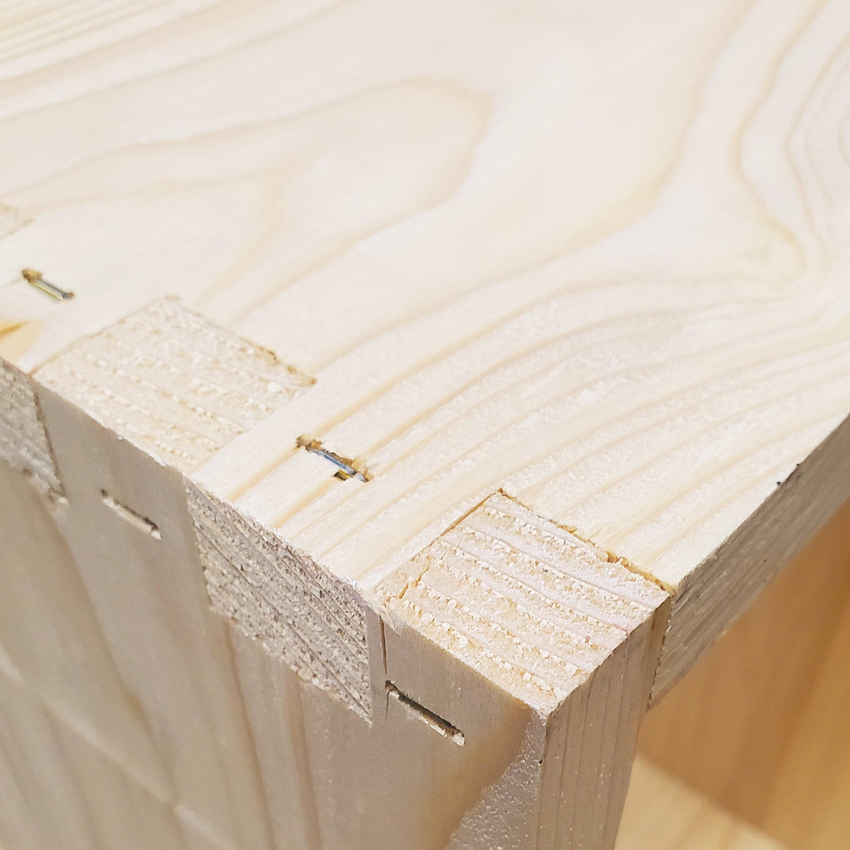 5-Frame Complete, Medium 6 5/8-inch Box with Frames and Foundation