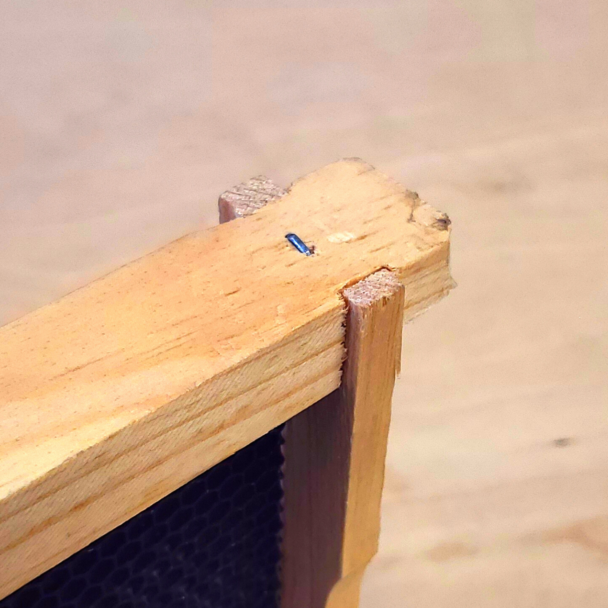 5-Frame Complete, Deep 9 5/8-inch Box with Frames and Foundation