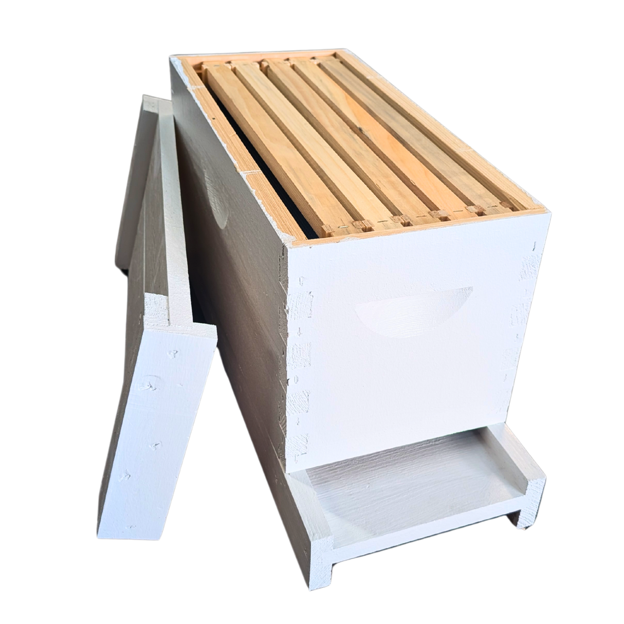 5-Frame Complete, Deep 9 5/8-inch Box with Frames and Foundation