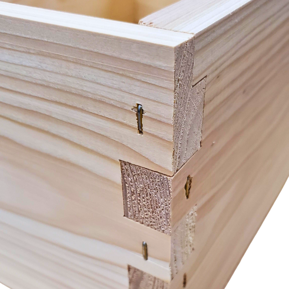 5-Frame Cypress Medium 6 5/8-inch Super Box