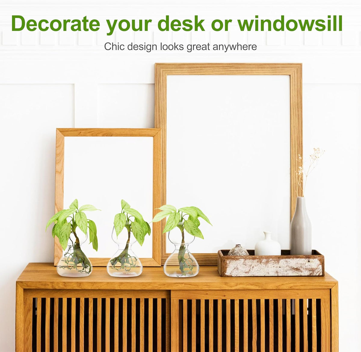 Clear Glass Bud Vases - Propagation Stations (Set of 4)
