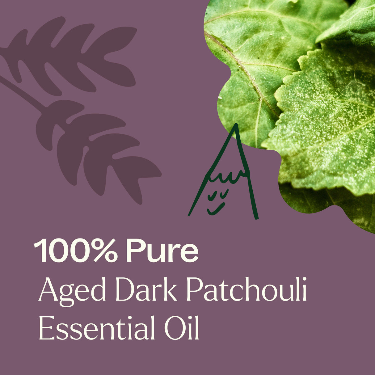 Aged Dark Patchouli Essential Oil Pre-Diluted Roll-On 10 ml
