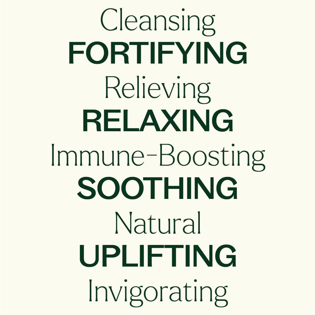 Aroma Flight 10 Count Set