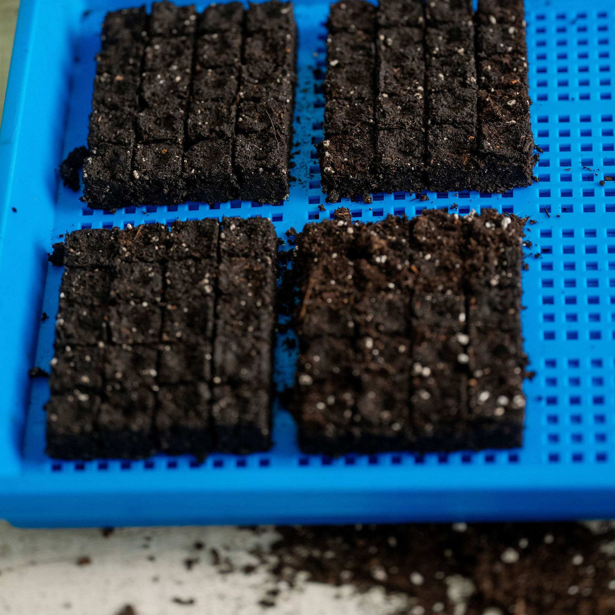 1020 Mesh Trays Shallow Extra Strength Colors - 1" Deep