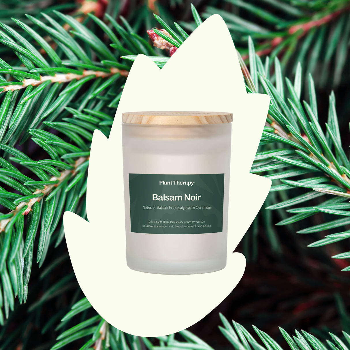 Balsam Noir Naturally Scented Candle