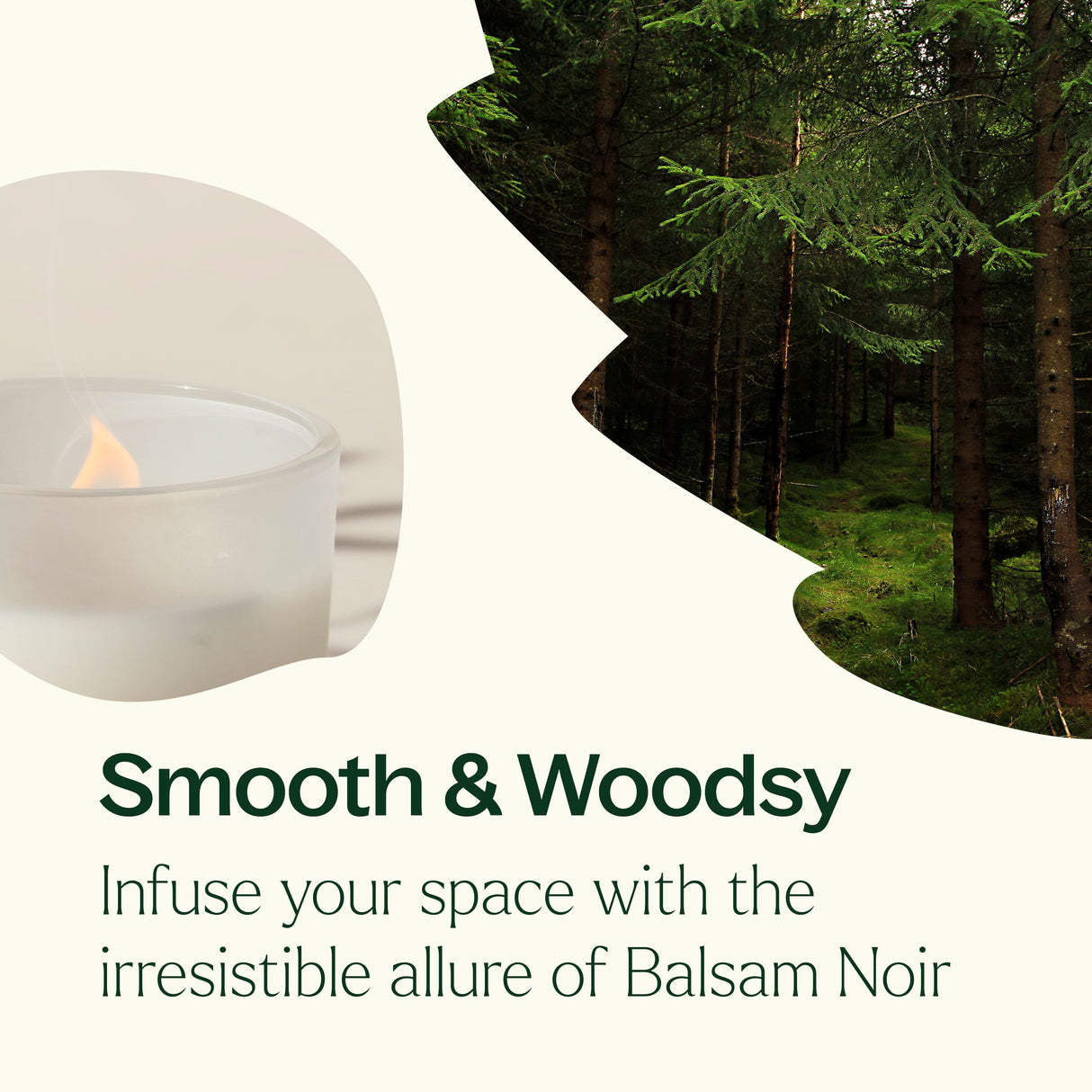 Balsam Noir Naturally Scented Candle