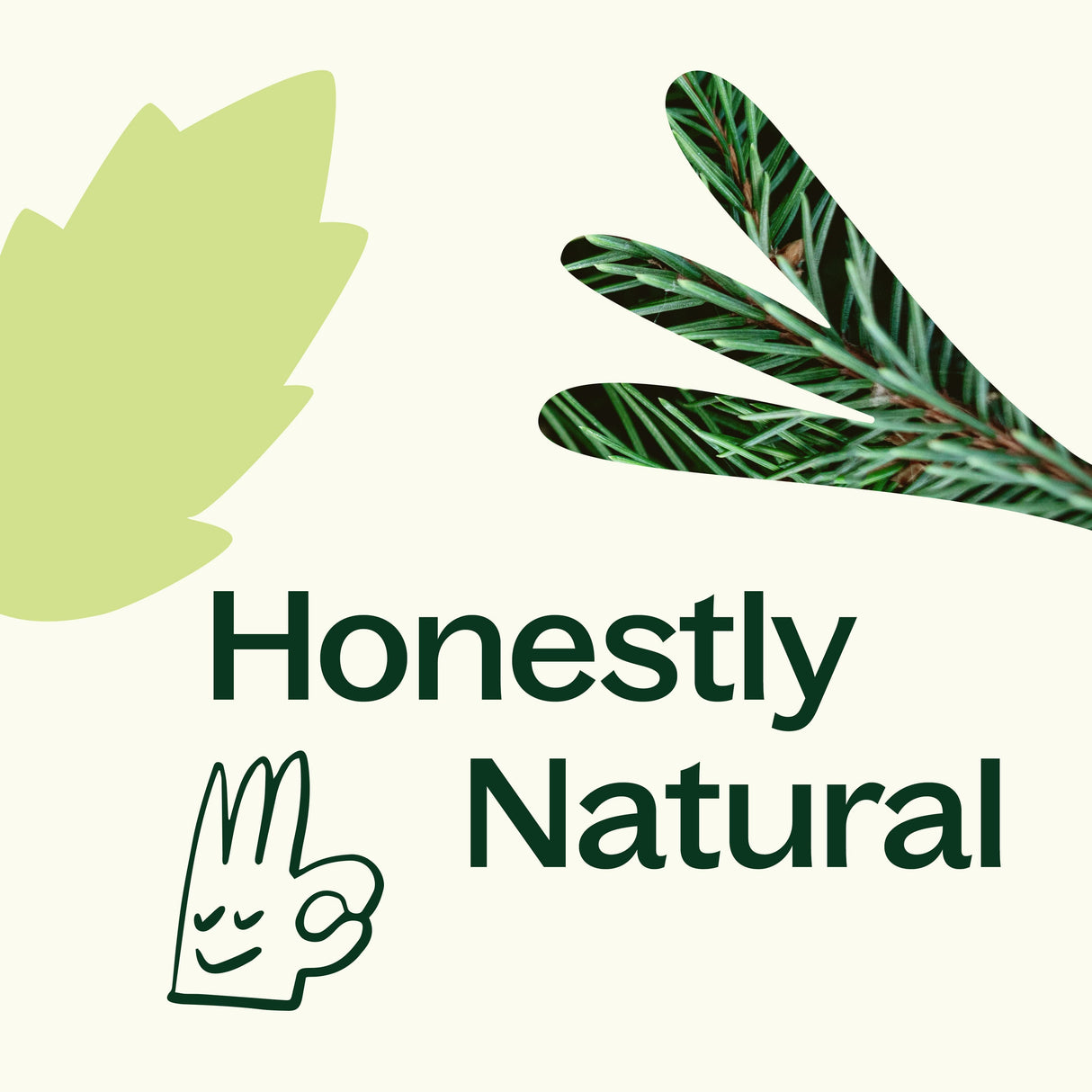 Balsam Noir Naturally Scented Candle