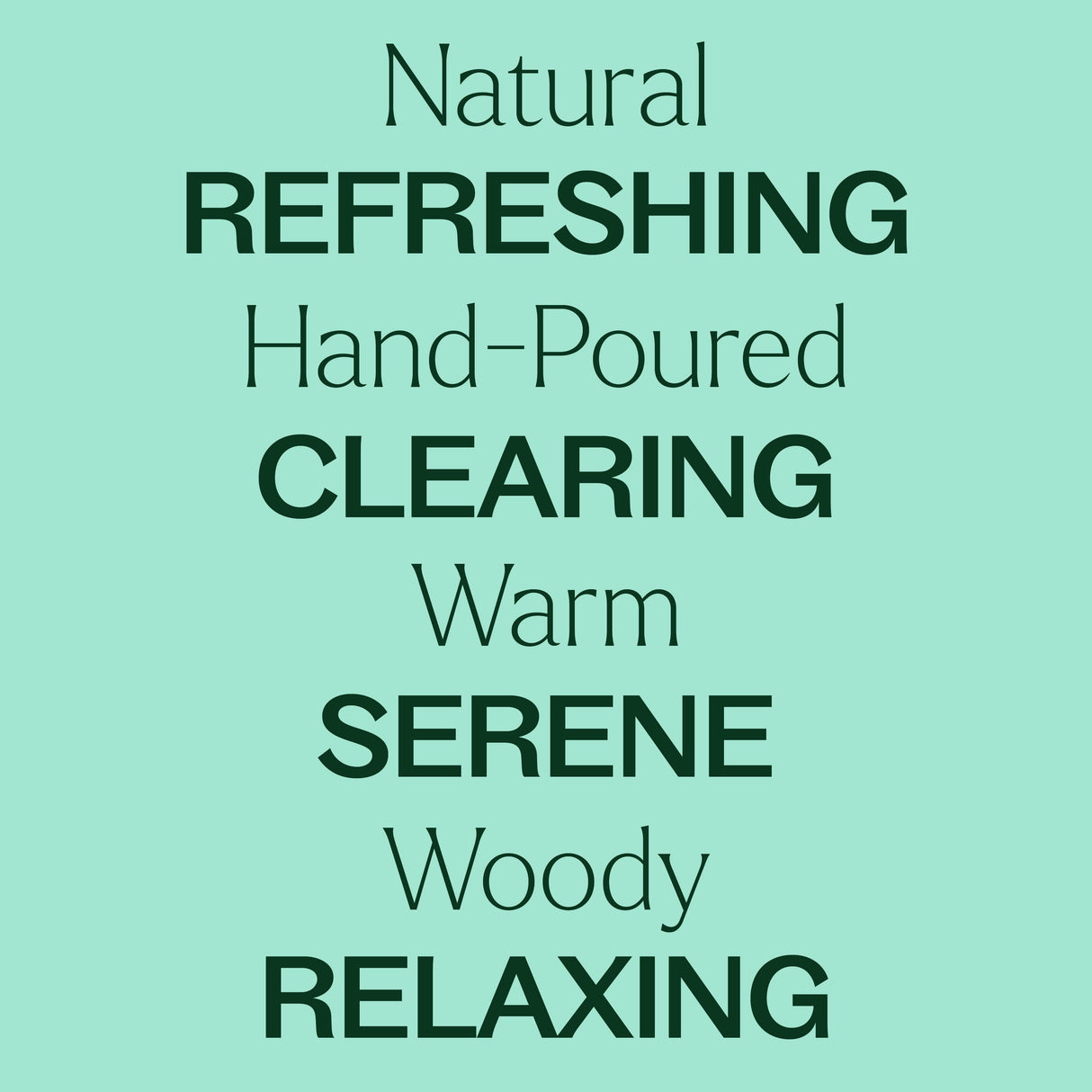 Balsam Noir Naturally Scented Candle