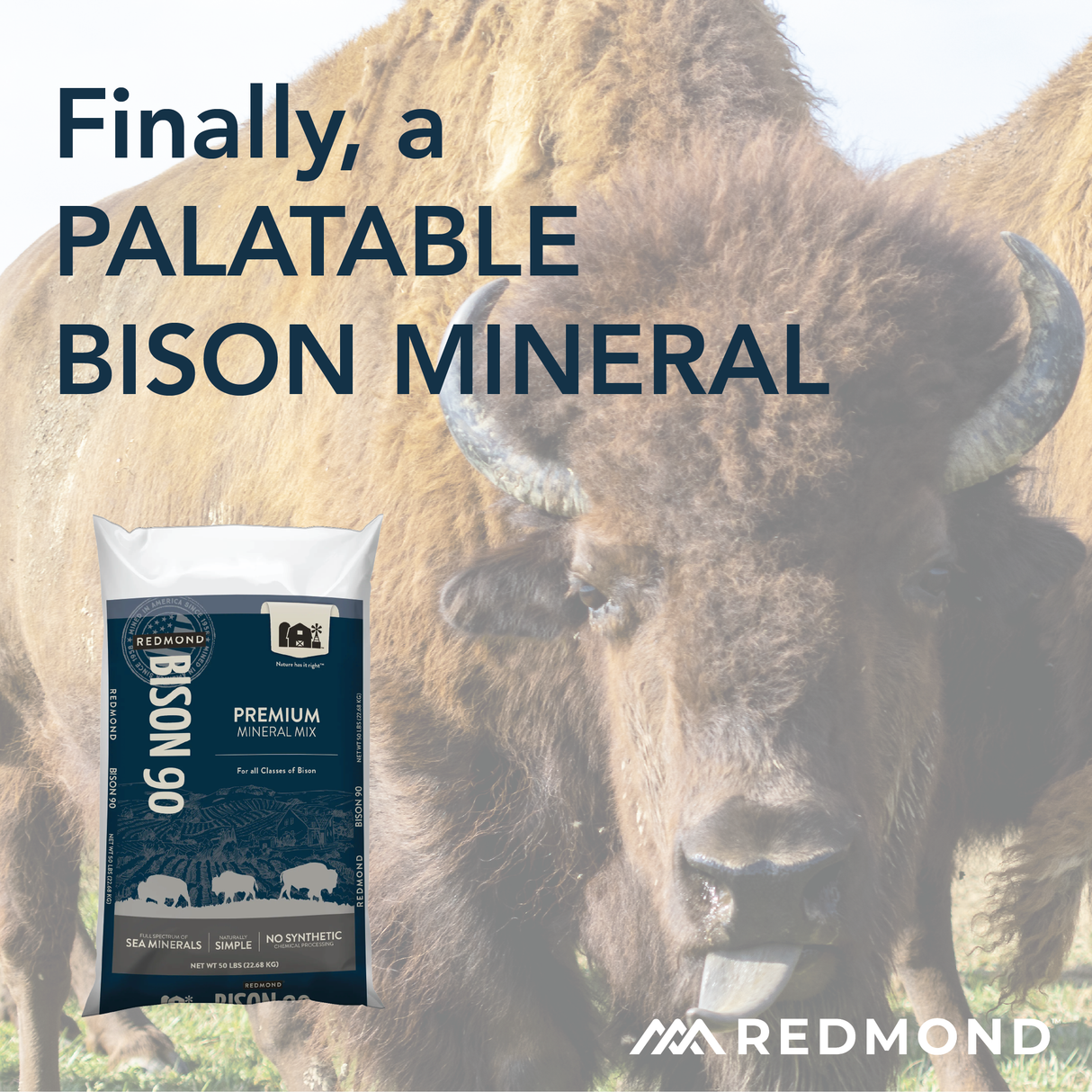 Bison 90