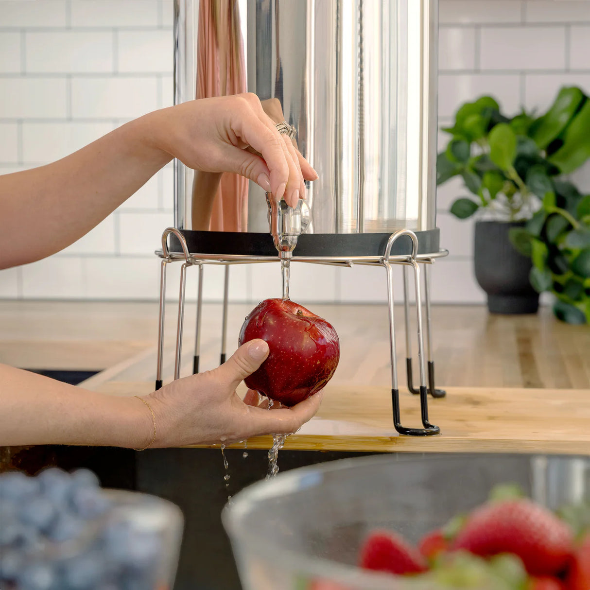 BOROUX Legacy™ Water Filter System