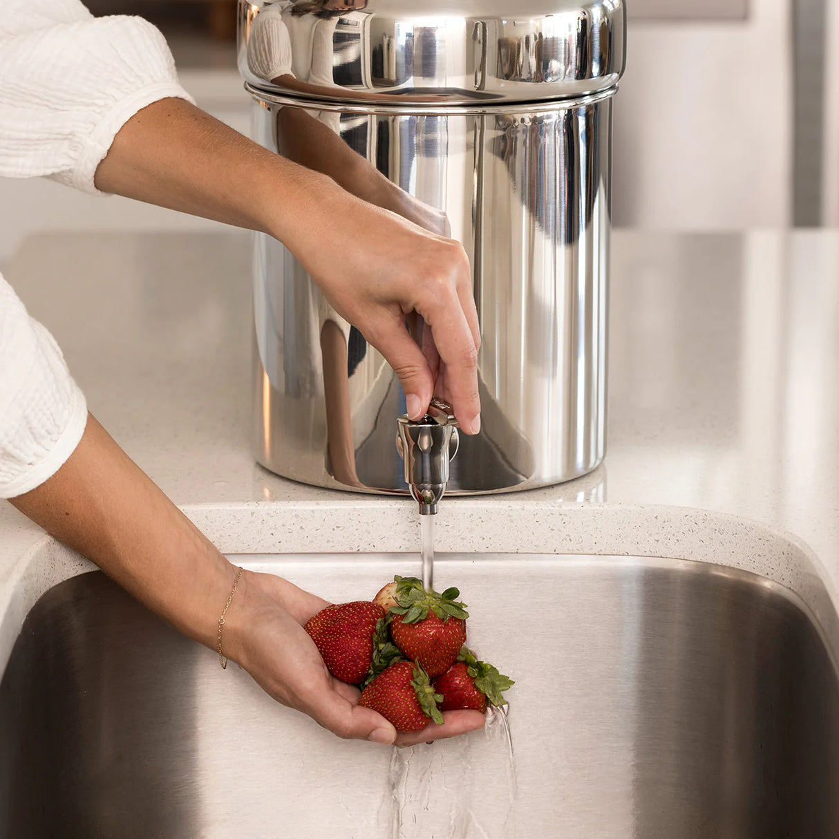 BOROUX Legacy™ Compact Water Filter System