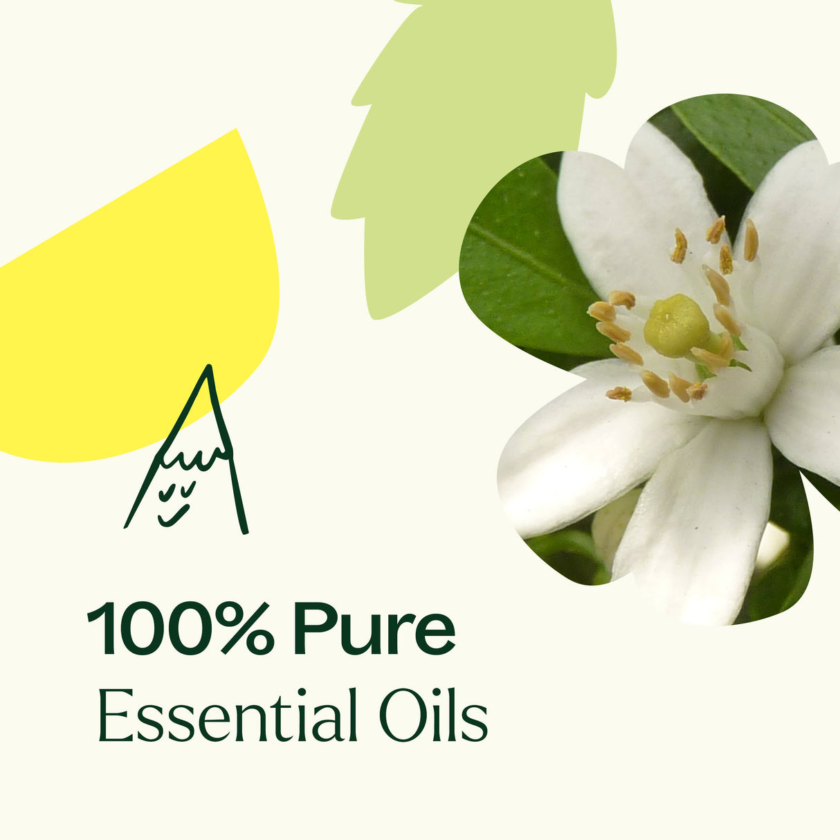 Butterfly Blossoms Natural Fragrance