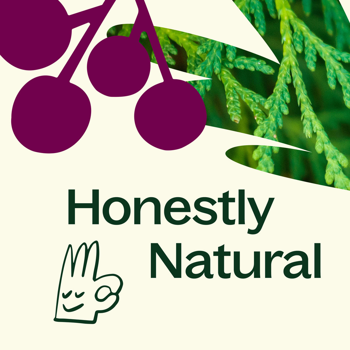 Cassis & Cedar Naturally Scented Candle