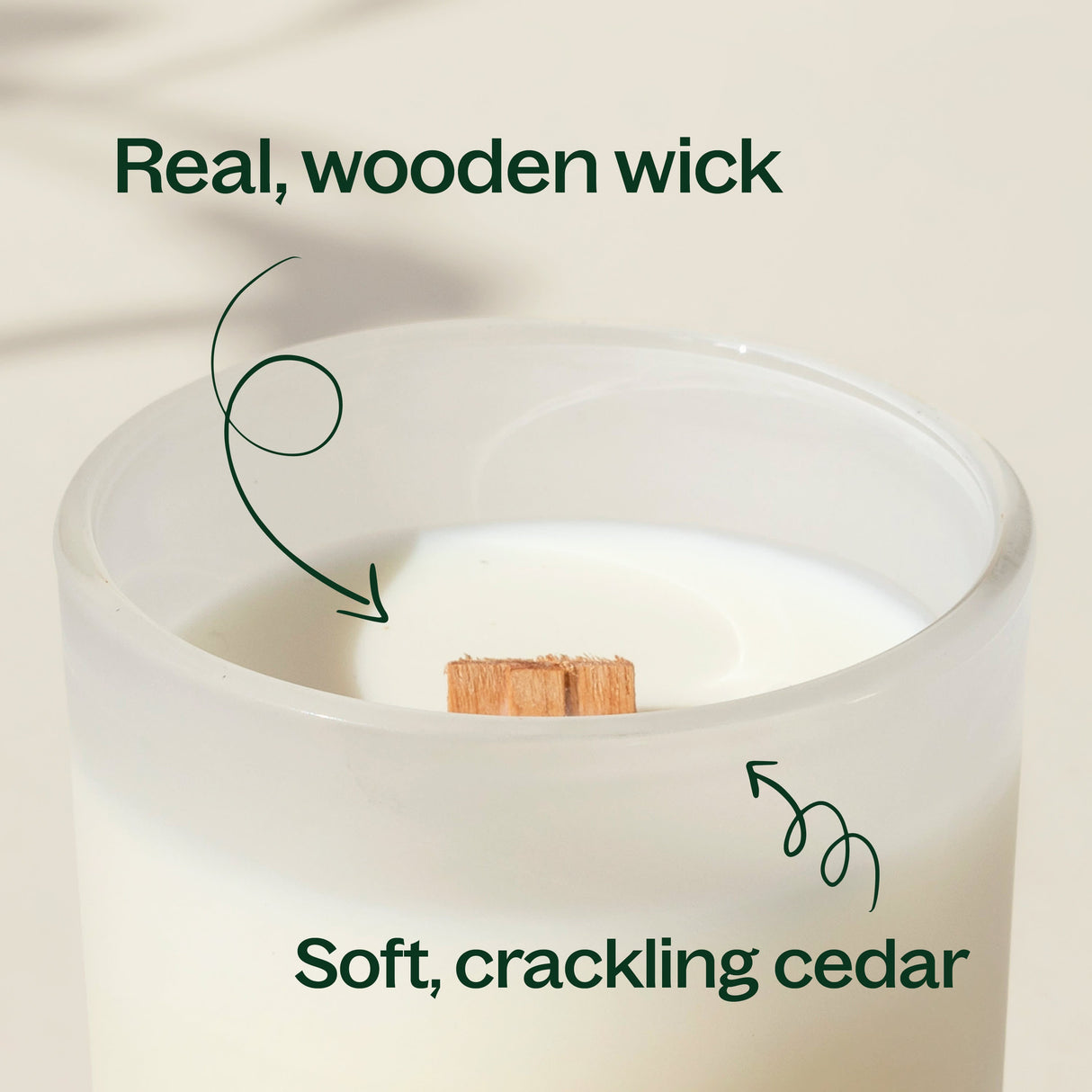 Cassis & Cedar Naturally Scented Candle