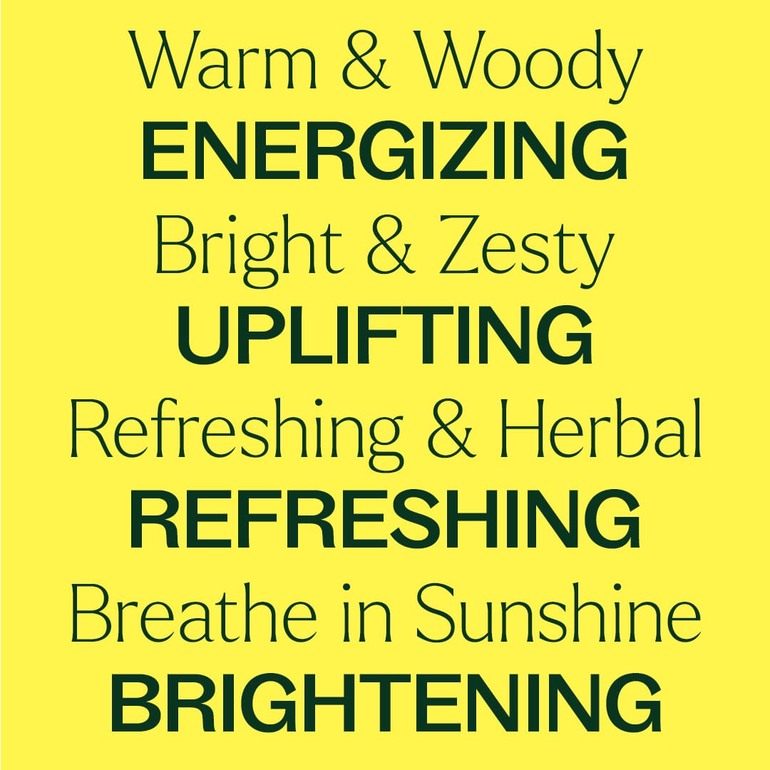 Chasing Sunshine Essential Oil Blend Set