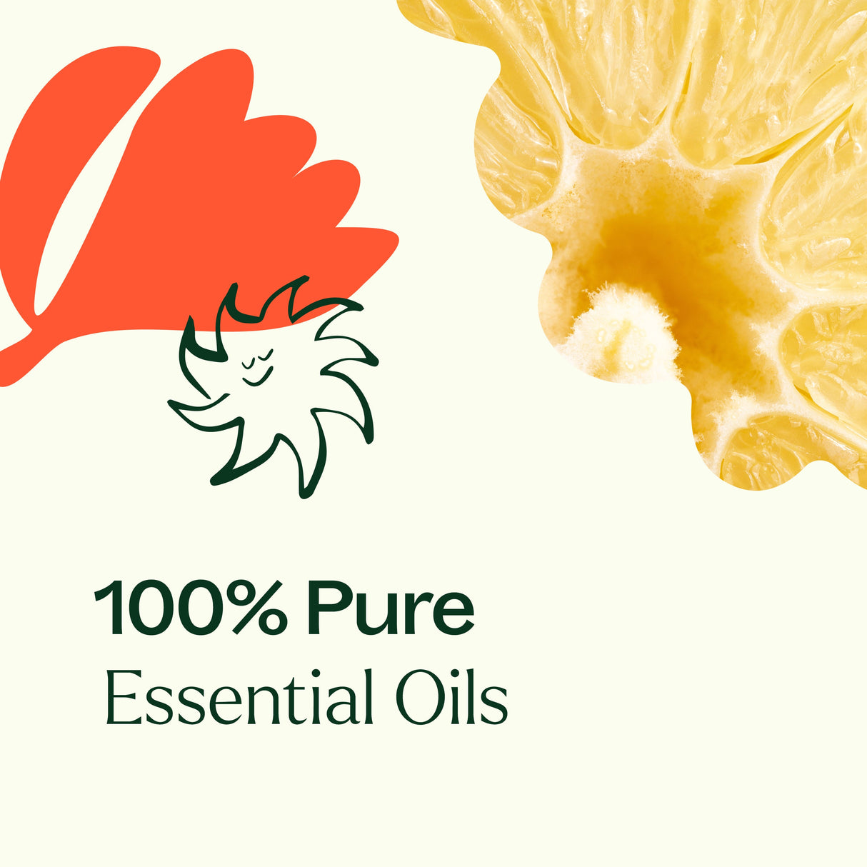 Cleaning Duo: Citrus Burst + Chamomile Sleeve