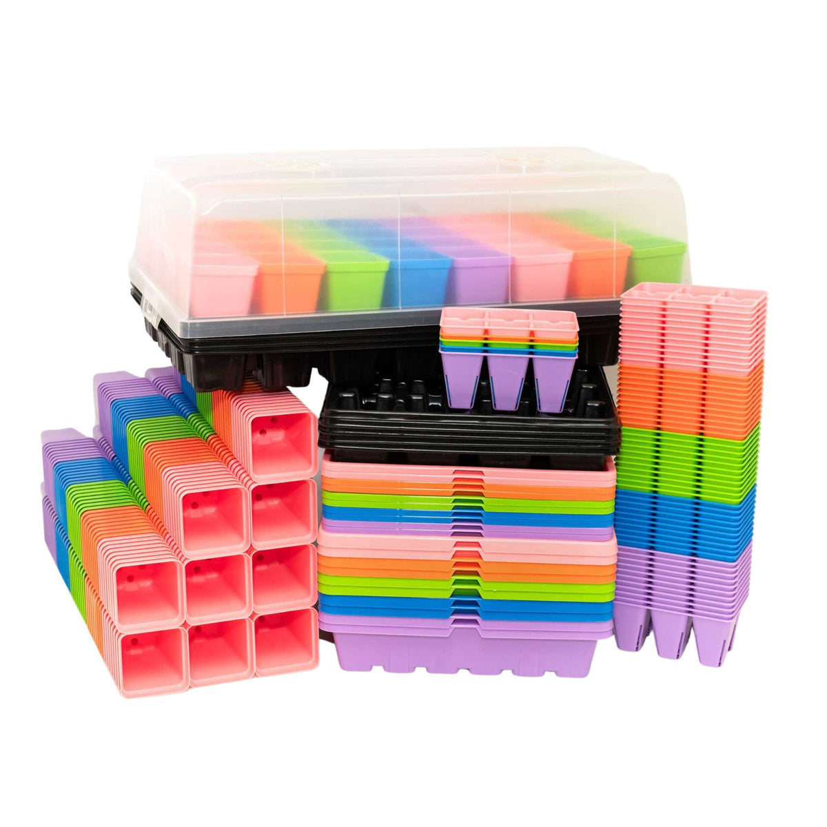 classroom seed planting Classroom Seed Starting Bundle – Homestead