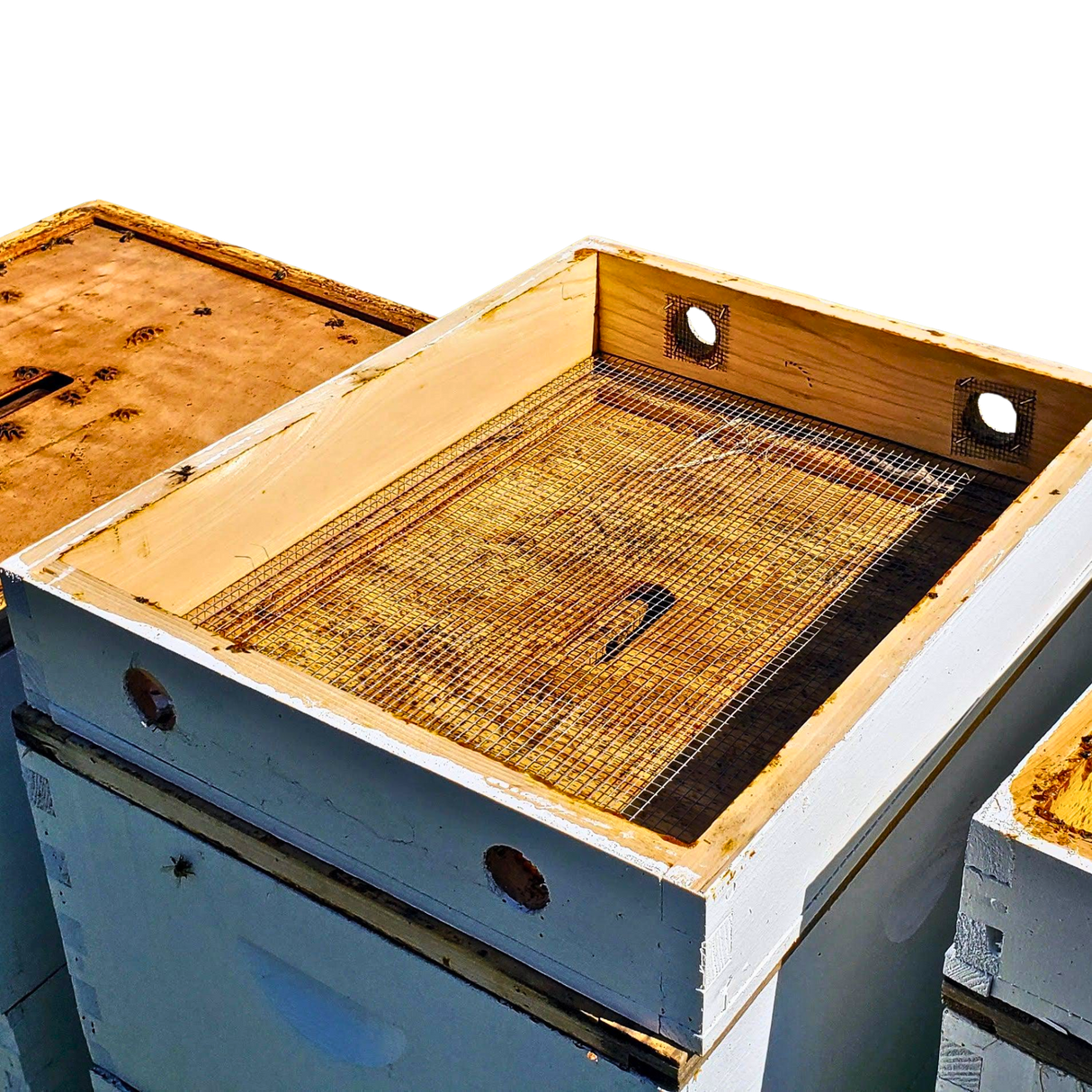 Cypress Spacer and Feeder Rim