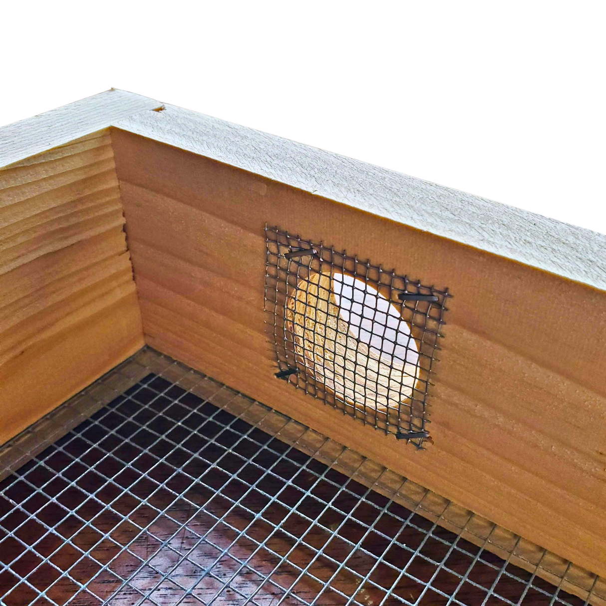 Cypress Spacer and Feeder Rim