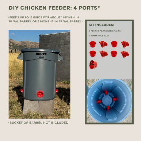 Easy Chicken Feeder and Automatic Chicken Waterer Kits β Chicken Chores Just Got 20X Easier