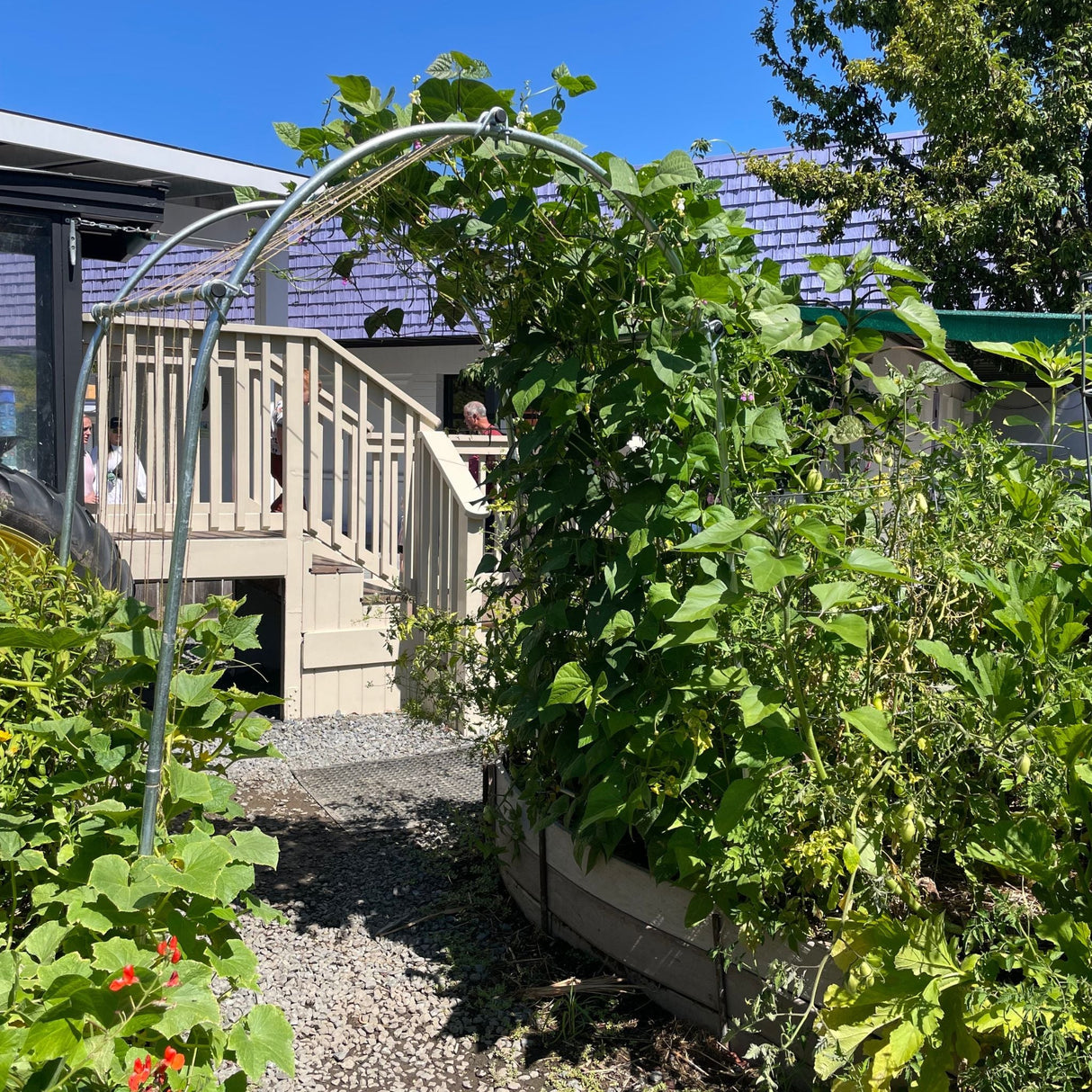 DIY Garden Arch