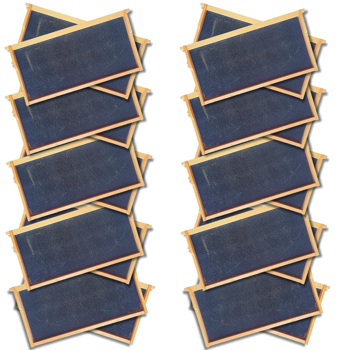 Deep 9 1/8-Inch Langsroth Frame, Grooved Top / Grooved Bottom With Double Wax Foundation