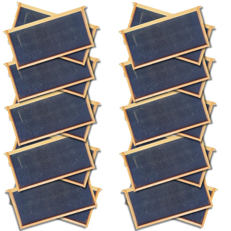 Deep 9 1/8-Inch Langsroth Frame, Grooved Top / Grooved Bottom With Double Wax Foundation