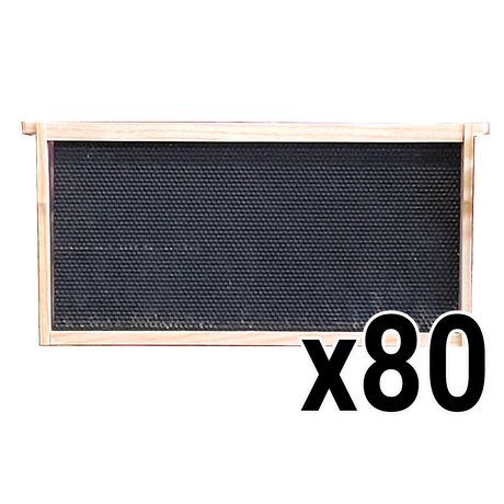 Deep 9 1/8-Inch Langsroth Frame, Grooved Top / Grooved Bottom With Double Wax Foundation