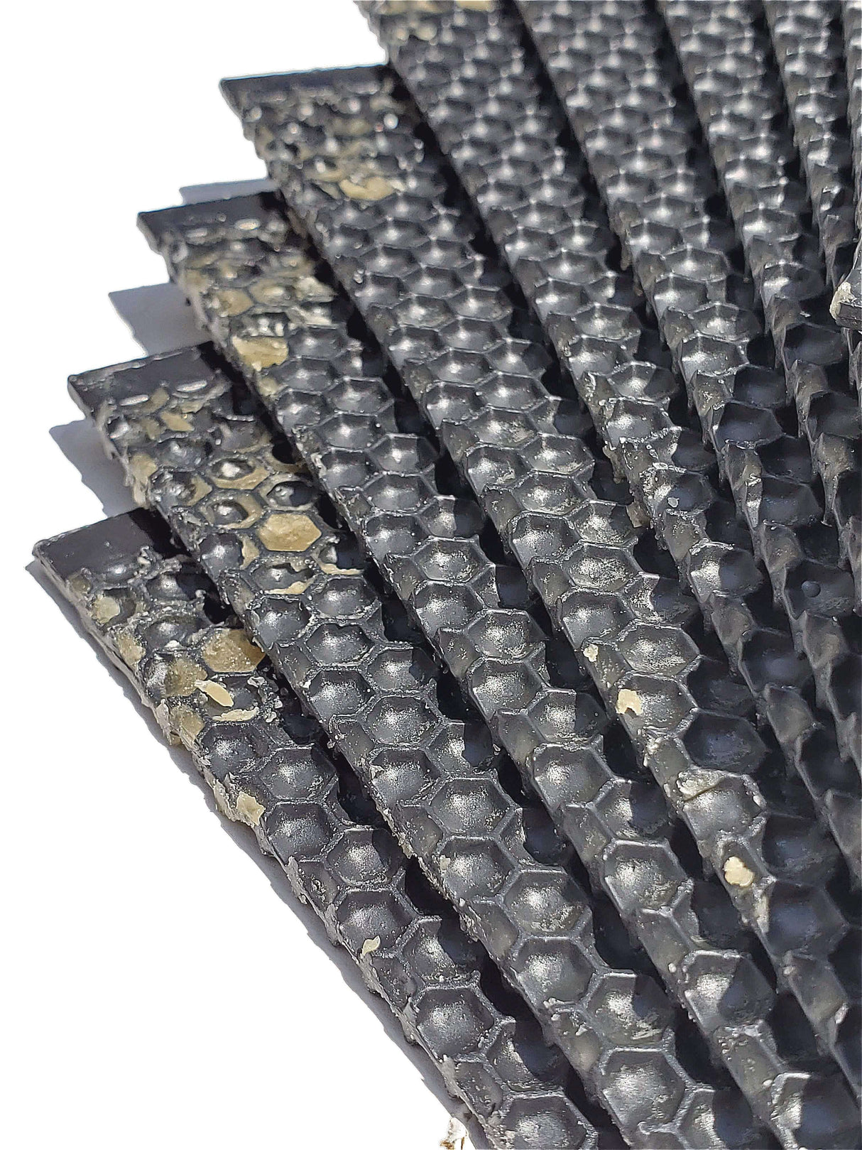 Deep, Black Plastic Foundation with Double Beeswax