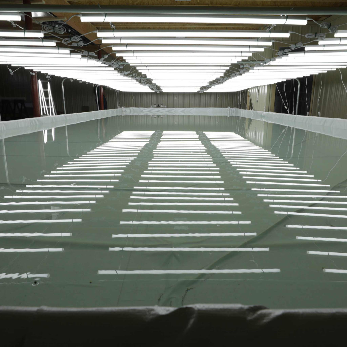 Deep Water Culture (DWC) Kit