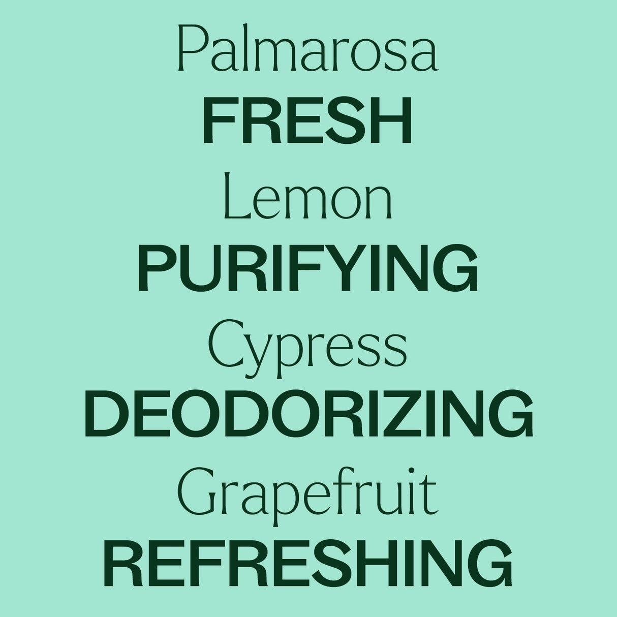 Deodorizing Powder