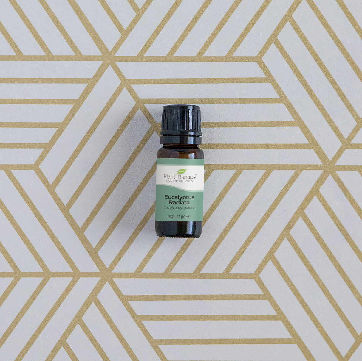 Essential Oils Emergency Kit