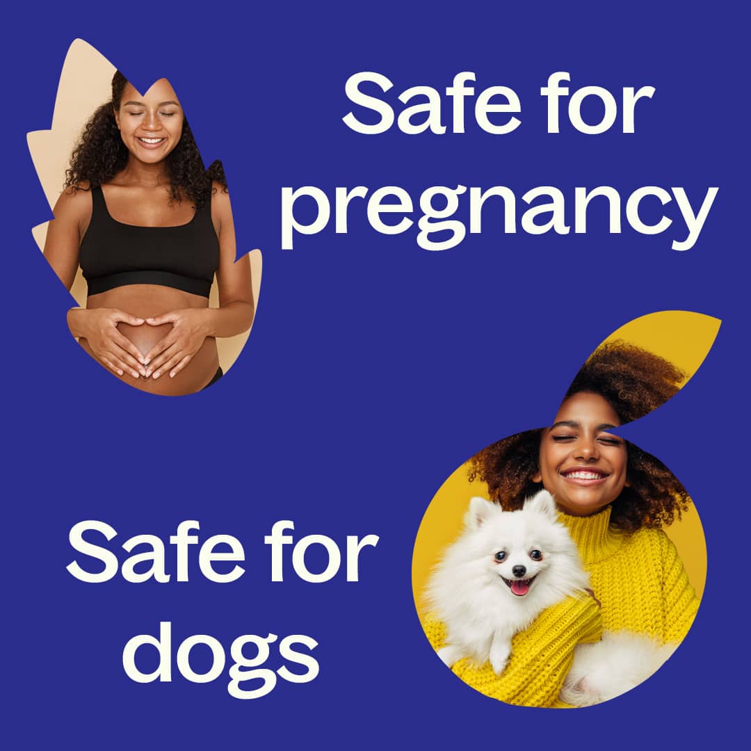 Go Time Essential Oil Blend