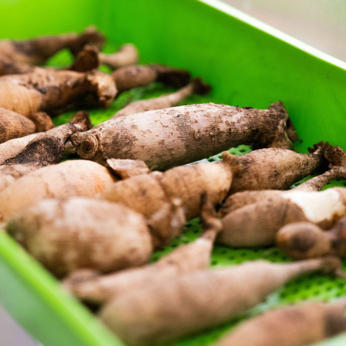 1020 Mesh Deep Extra Strength Colors - 2.5" Deep