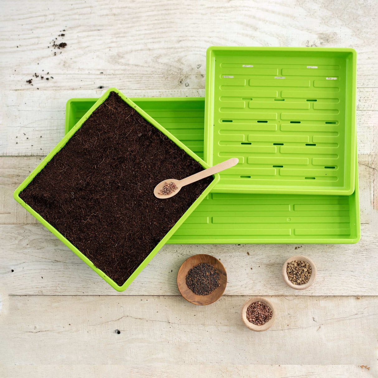 1010 Microgreens Kit