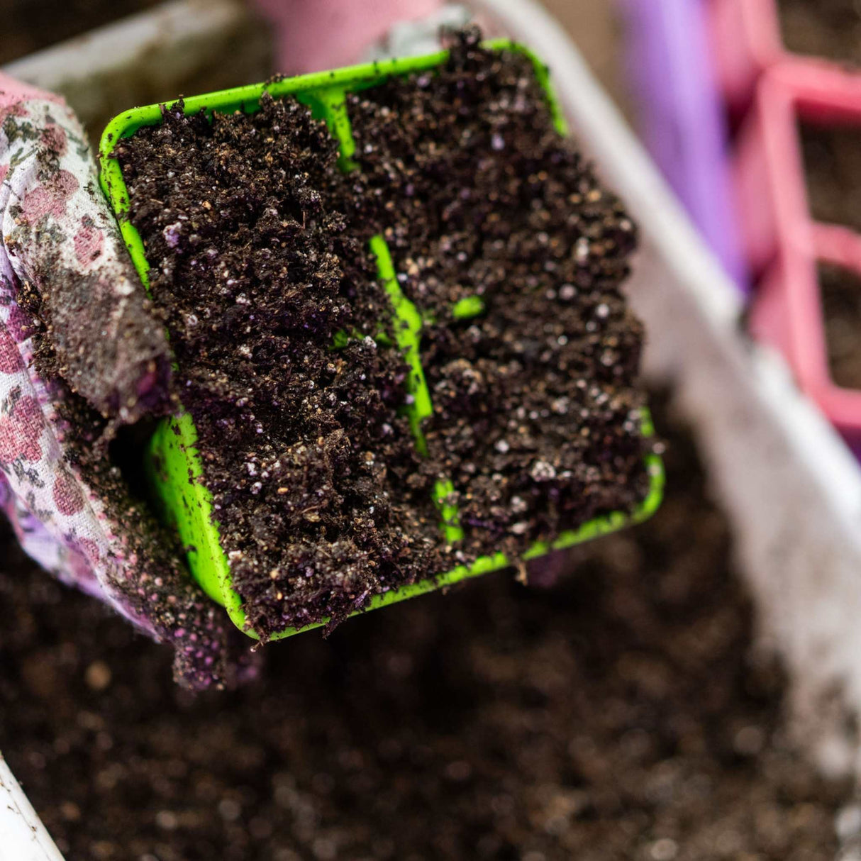 4 Cell Plug Tray Inserts