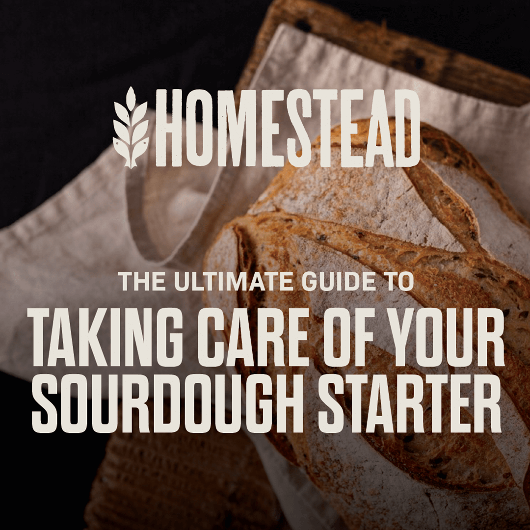 The Ultimate Guide to Taking Care of Your Sourdough Starter - Digital