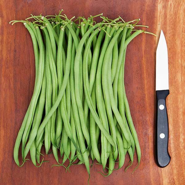 Maxibel Haricot Vert