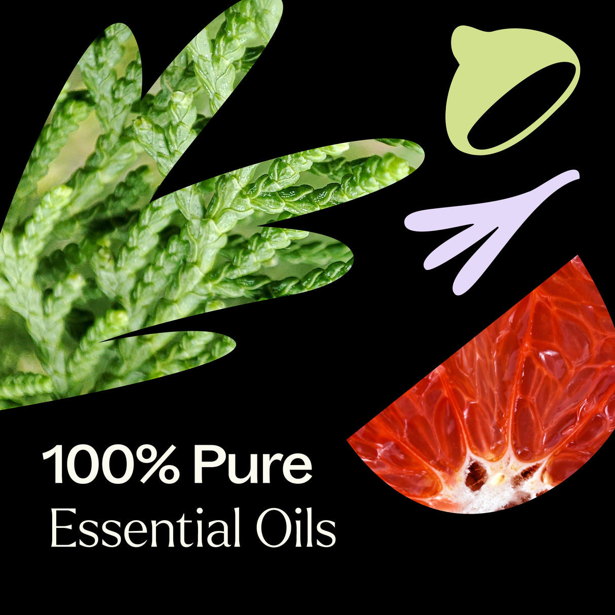 Headless Horseman Essential Oil Blend 10 mL