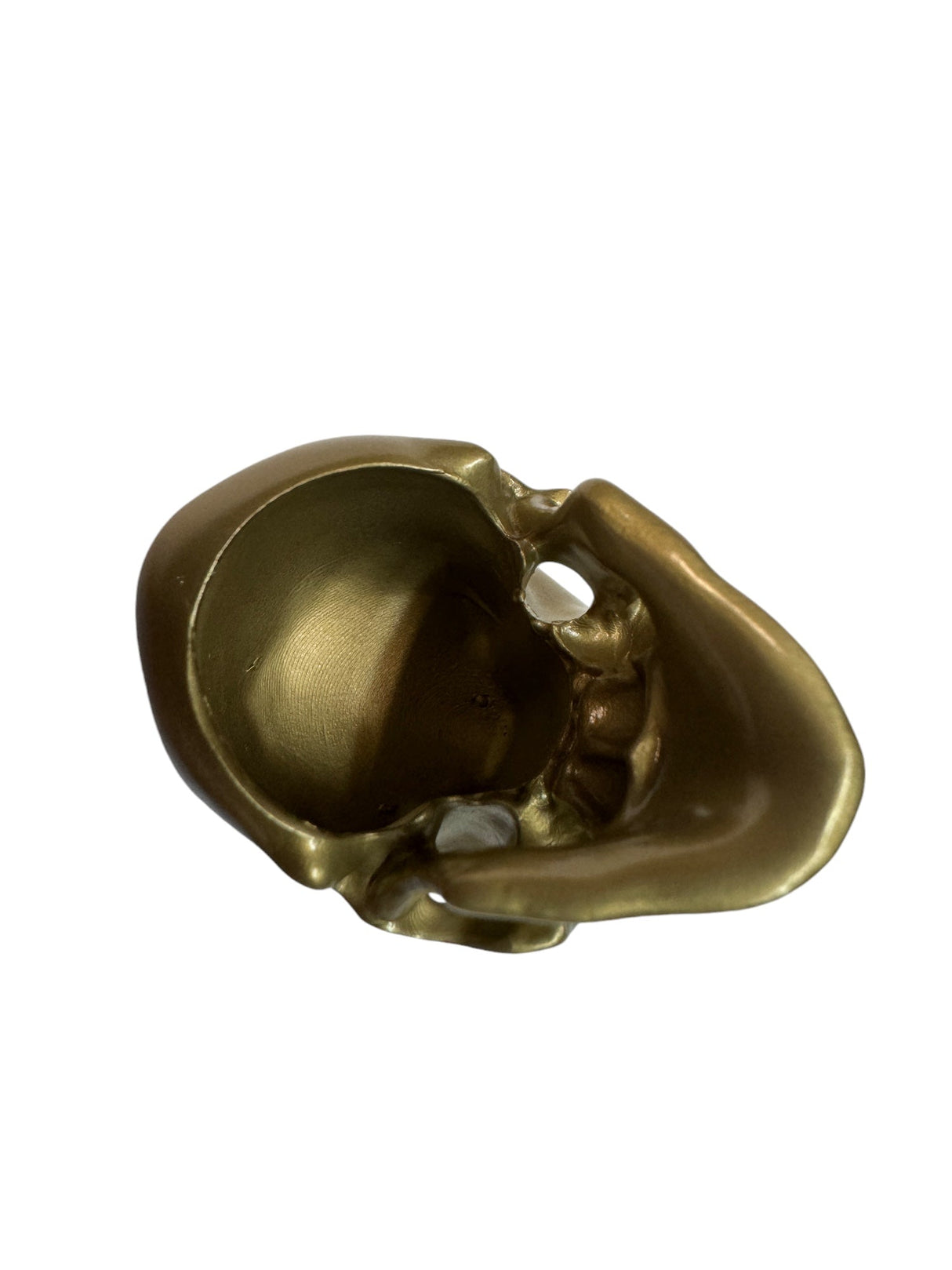 Brass Omni-Mount Colossus Skull by Maratac® 🚨 "Prime" Sale! 🚨