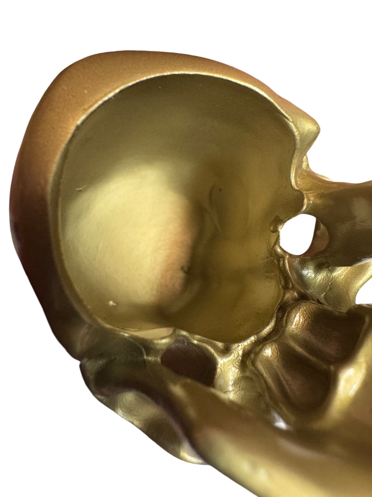 Brass Omni-Mount Colossus Skull by Maratac® 🚨 "Prime" Sale! 🚨