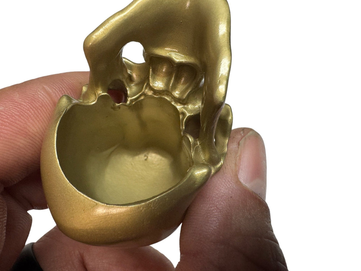 Brass Omni-Mount Colossus Skull by Maratac® 🚨 "Prime" Sale! 🚨