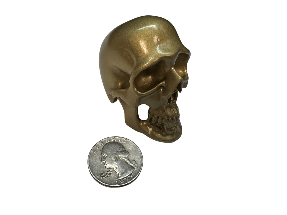 Brass Omni-Mount Colossus Skull by Maratac® 🚨 "Prime" Sale! 🚨